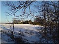 Greatwood Farm near Farsley