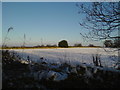 Field and carriage path to Greatwood Farm