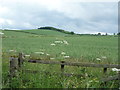 Crop field off the A6089