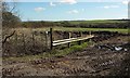 SX1363 : Path to Bedwindle Farm by Derek Harper