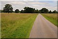 Driveway in Attingham Park