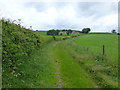 SD5681 : The bridleway up to Lupton High by Raymond Knapman