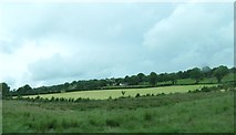H7306 : Pasture land bordering an area of bogland by Eric Jones