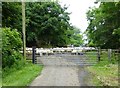 NZ0087 : Problem on a gated road! by Russel Wills