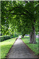 Path, Broomfield Park, London N13