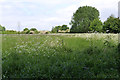 Early summer in the Sowe valley, Walsgrave, Coventry