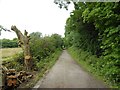 Trans Pennine Trail link to Sheffield