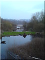 SD4863 : River Lune from Halton Road at low tide by Schlosser67