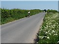 Sunday lunchtime cyclist on Belmore Lane