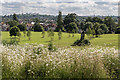 Wildflower Meadow, Broomfield Park, London N13