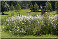 Wildflower Meadow, Broomfield Park, London N13