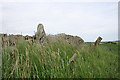 NJ9324 : Hill of Fiddes Recumbent Stone Circle (1) by Anne Burgess