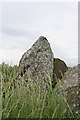 NJ9324 : Hill of Fiddes Recumbent Stone Circle (2) by Anne Burgess