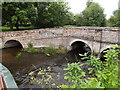 Old Bridge over the River Thet