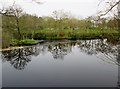 Top  of  the  weir  on  the  River  Nidd