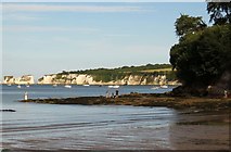 SZ0382 : Redend Point at Studland by Steve Daniels
