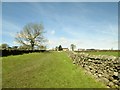 The  Nidderdale  Way  toward  Grove  Garth