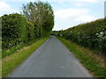 Narrow lane into Eyton on the Weald Moors