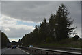 Falkirk : The M80 Motorway