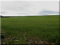NY0634 : Arable field near Craika Farm by Graham Robson