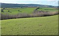 Farmland near Newham Farm