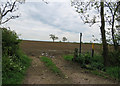 Entrance to a field and footpath