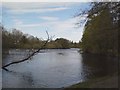 River Ness, looking upstream