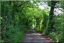 TR1147 : Whiteacre Lane by Robin Webster
