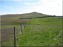 HZ2171 : Vaasetter Hill, Fair Isle by David Purchase