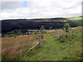 Uwchben Glynrhedynog / Above Ferndale