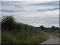 The road to Witherdon Wood from Boldventure Cross