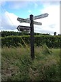 TQ8755 : Fingerpost, near Ringlestone by Chris Whippet