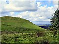 Cunzierton Hill from the east