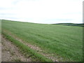 NU0033 : Grassland near Doddington by JThomas