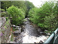 White water on the Afon Giedd, Cwmgiedd