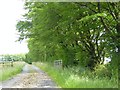 Access road to Rowden Farm