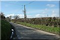 SY4495 : Road to Broadoak by Derek Harper