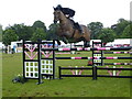 176th Omagh Annual Agricultural Show 2016 -85