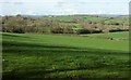 Countryside near Pineapple Farm