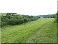 Beautiful meadow by the railway