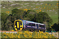 A train on the Borders Railway