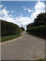 Lodge Lane & footpath to Common Road