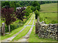 Access road for Spring Bank