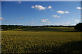 TQ4363 : Fields south of Farnborough by Christopher Hilton