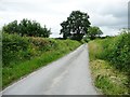 The road from Llanllugan to Adfa