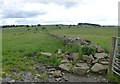 NZ0080 : Derelict dry stone wall replaced by barbed wire fence by Russel Wills