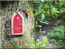 J0419 : Fairy door, Slieve Gullion by Mr Don't Waste Money Buying Geograph Images On eBay
