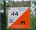 Orienteering sign and a snail at Melton Country Park