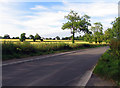 Burnmill Road and fields