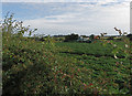 Crop spraying near Ulceby Carr Farm